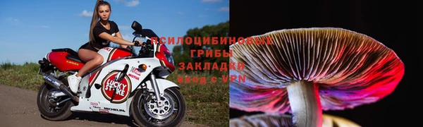 стаф Алексин