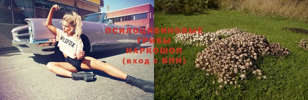 стаф Алексин