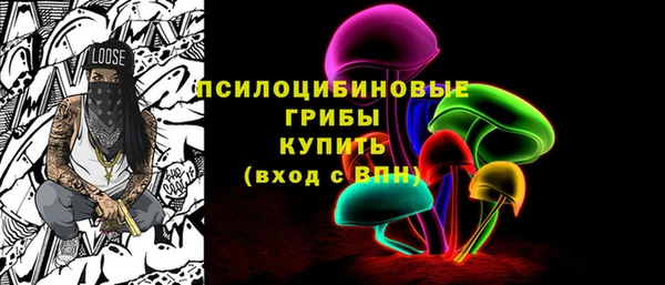 стаф Алексин