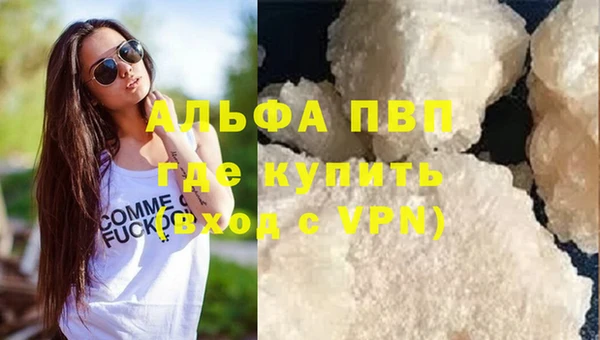 стаф Алексин