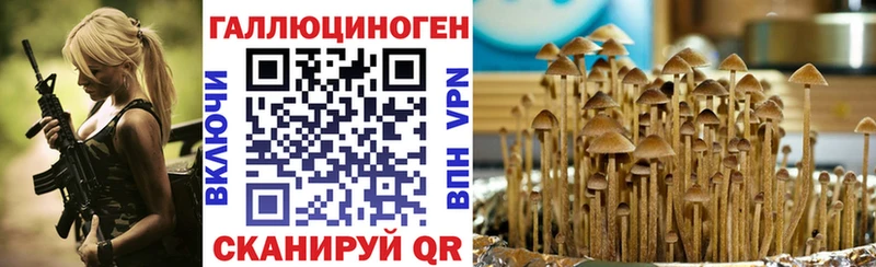 Галлюциногенные грибы GOLDEN TEACHER  гидра ссылка  Зеленоградск 
